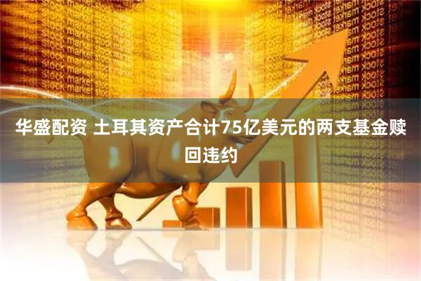 华盛配资 土耳其资产合计75亿美元的两支基金赎回违约