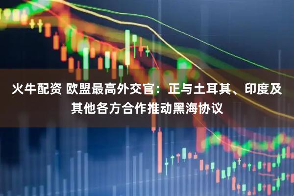 火牛配资 欧盟最高外交官：正与土耳其、印度及其他各方合作推动黑海协议